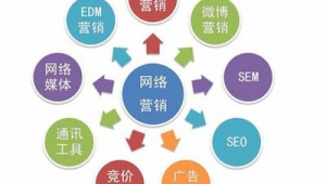 北京网络推广营销与网络技术服务 数字化转型中的双翼驱动