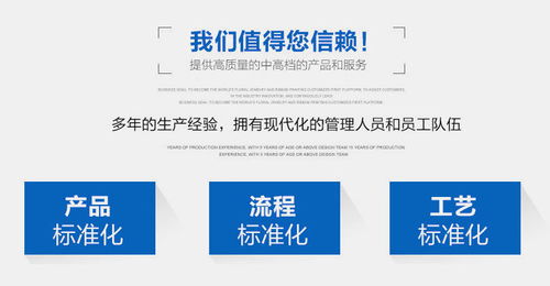 工厂直销自动实心丸子机肉丸鱼丸生产线 稳定高效，现货供应